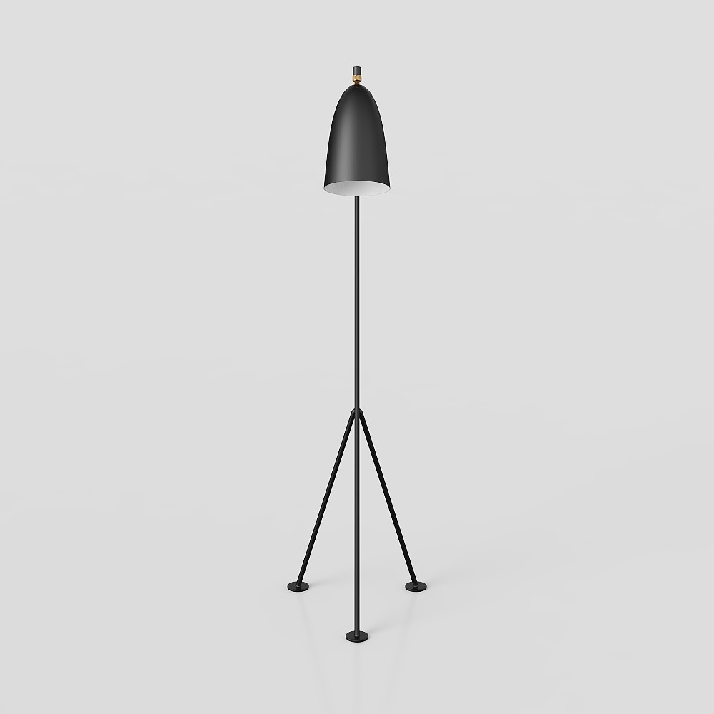 Modern minimalist floor lamp