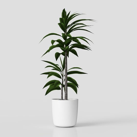 พืชสีเขียวในห้องนอนทันสมัย