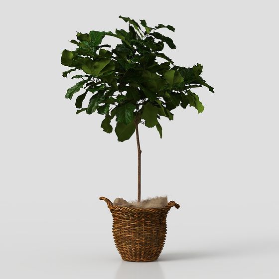 Low Poly Indoor Potted Plant 3D model