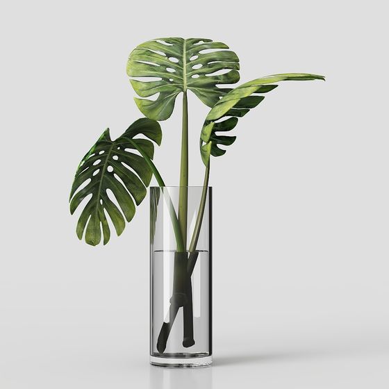 Einfache Wohnzimmerbegrünung