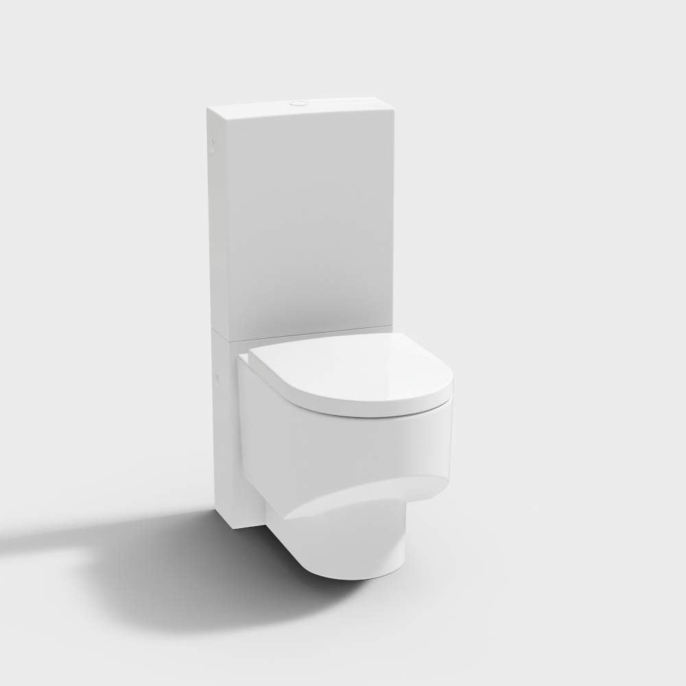 Modern white toilet