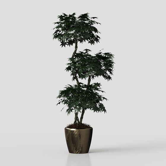 Indoor Green Plant 3D model