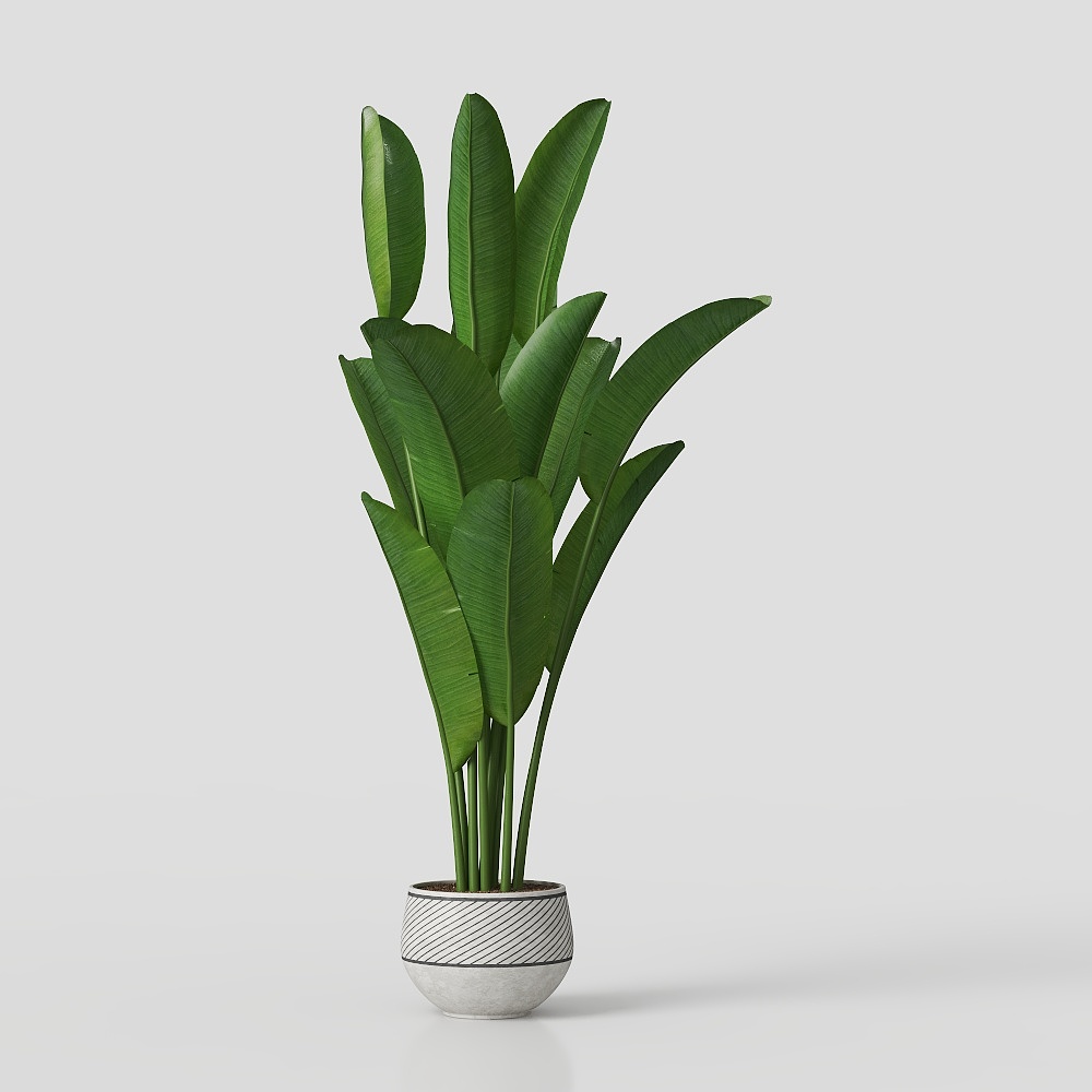 Moderne grüne Pflanzen