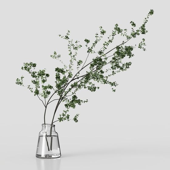 Plantes Vertes Modernes