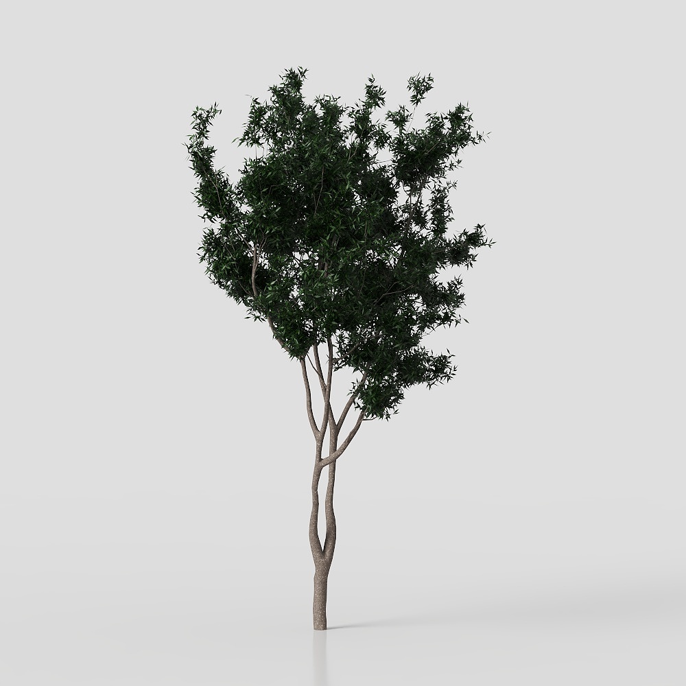 モダンな庭の緑