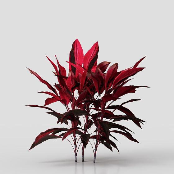 Cây xanh ngoài trời hiện đại