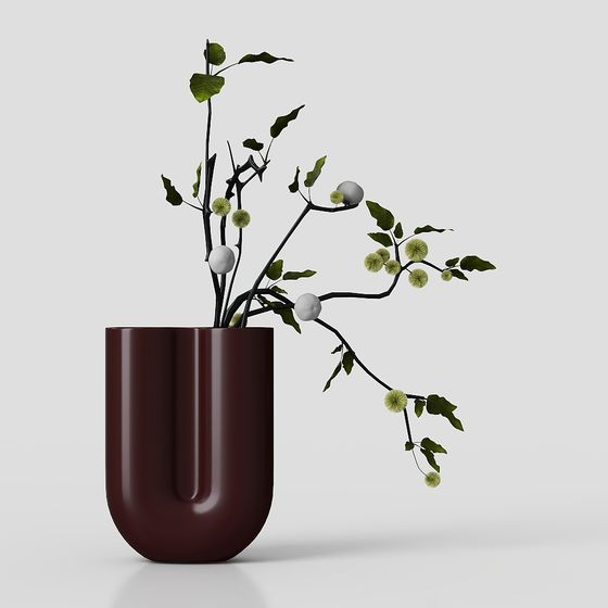 Piante Verdi Moderne