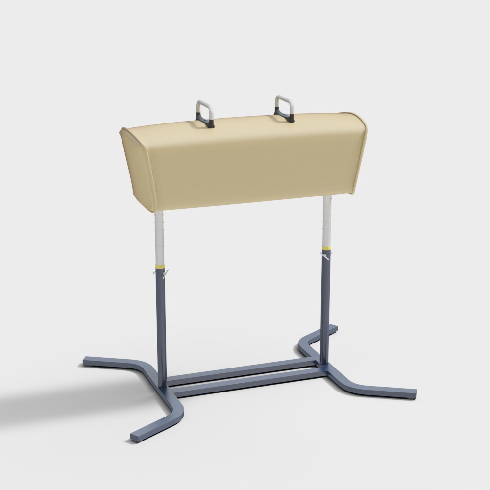 モダンなジムのポメルホース