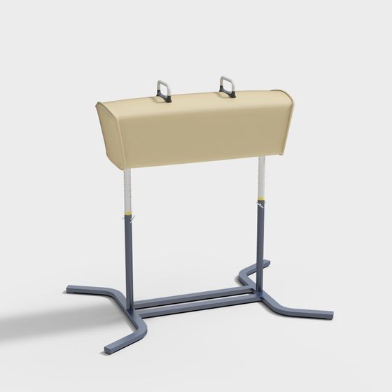 モダンなジムのポメルホース