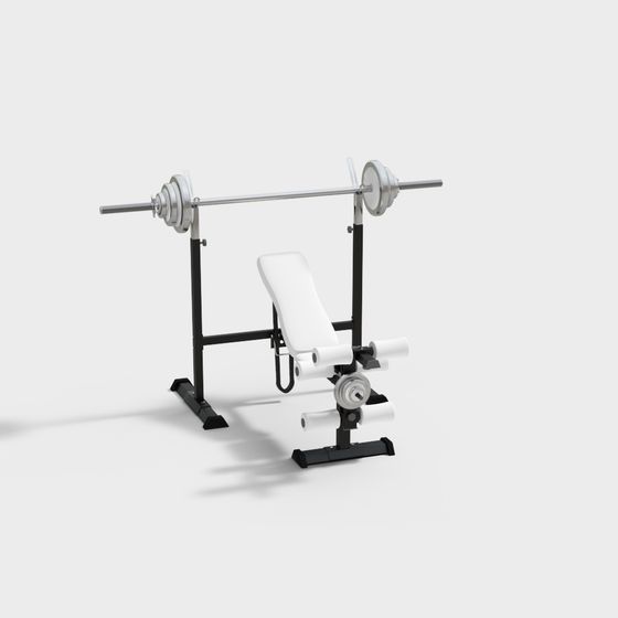 Stylish Multi-Function Dumbbell Rack 3D model for Fitness Spaces