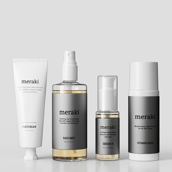 Meraki Low-Poly High-Detail 3D Model