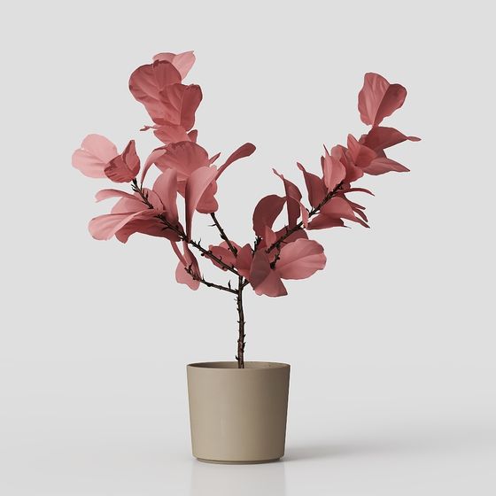 Urban Bloom Low Poly Plant 3D Model