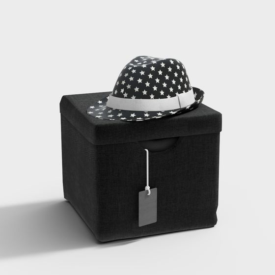Vintage Hat and Storage Box 3D model