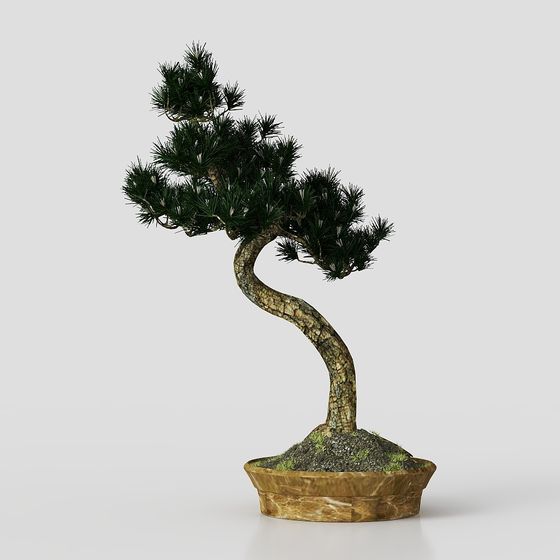 Bonsai in Stile Cinese Nuovo