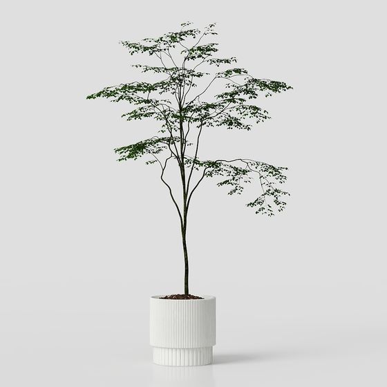 Lively Indoor Potted Plant 3D model