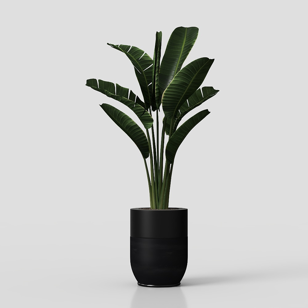 Piante verdi vintage