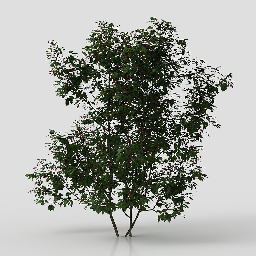 Modern square plants