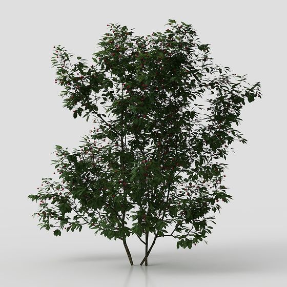 Modern square plants