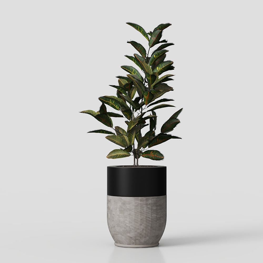 New chinese-style green plants