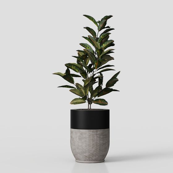 New chinese-style green plants