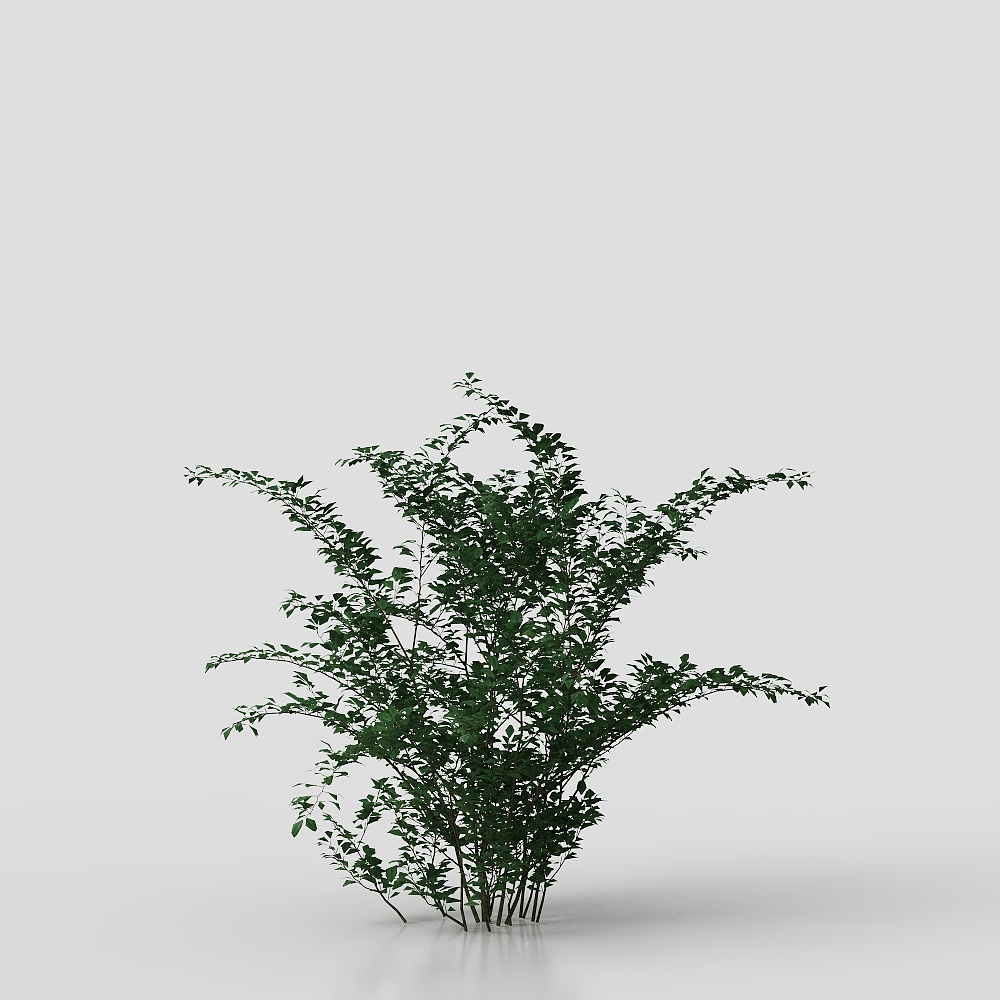 พุ่มไม้ทันสมัย