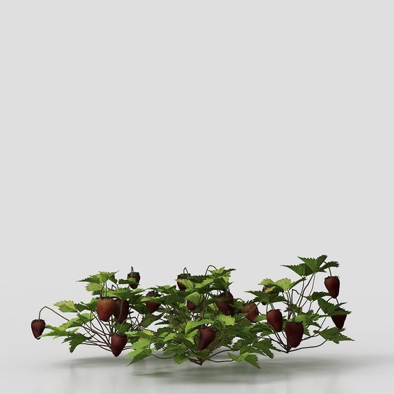 Realistic Strawberry Vine 3D model