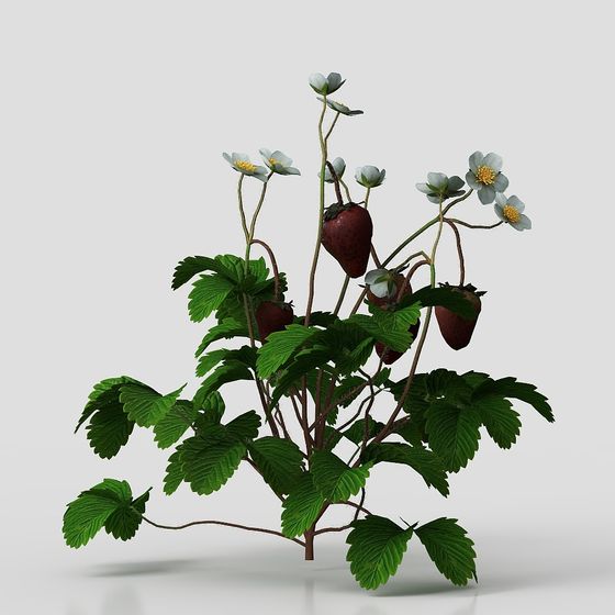 Low-Poly Strawberry Bush 3D model for Creative Projects