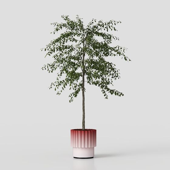 City Oasis 3D Model for Designers and Developers