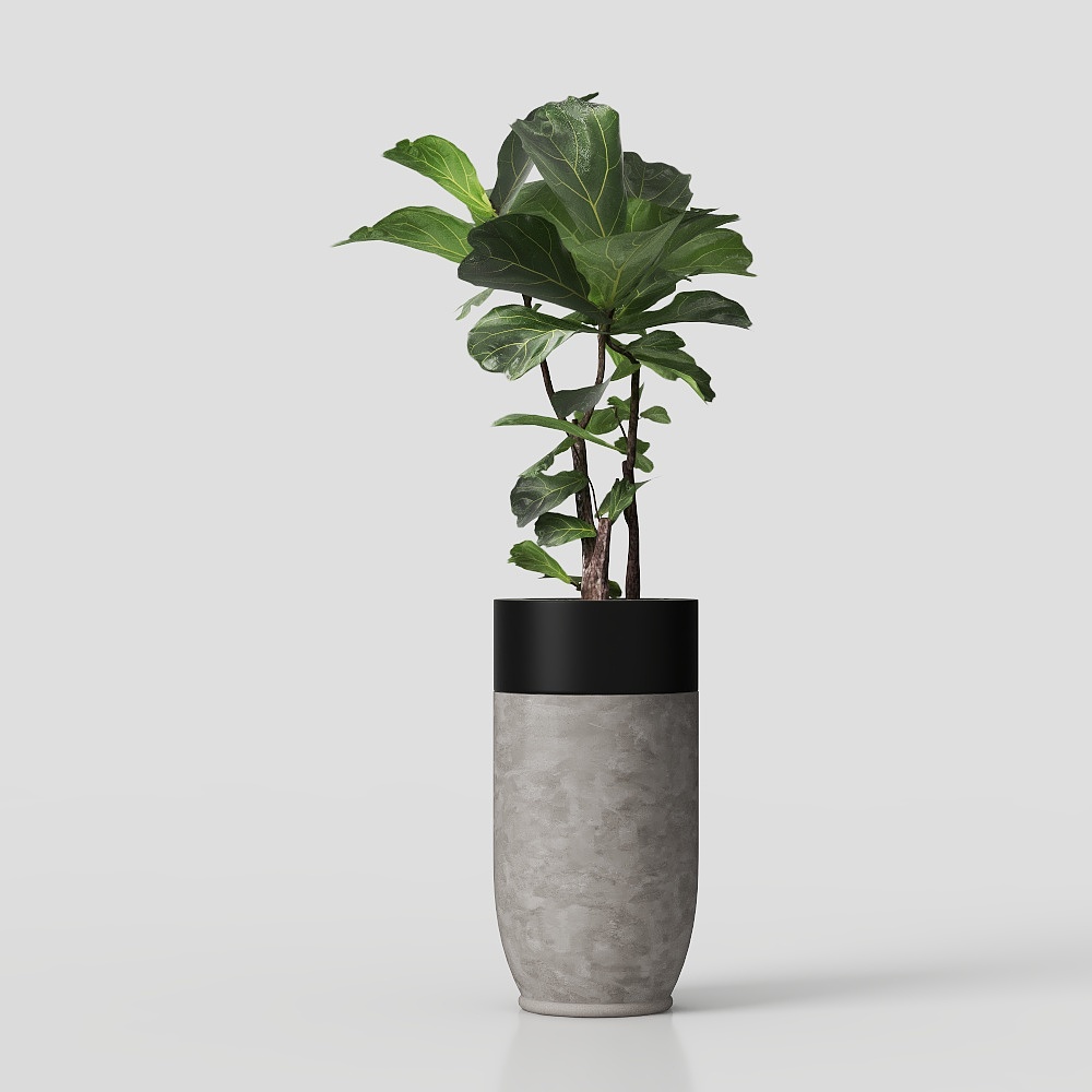 Plantas Verdes de Estilo Chino Nuevo