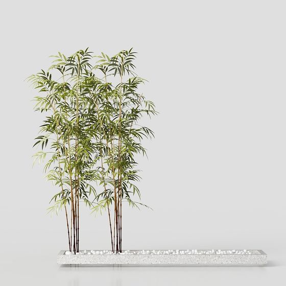 Low Poly Bamboo Landscape Bonsai 3D Model for Creative Projects