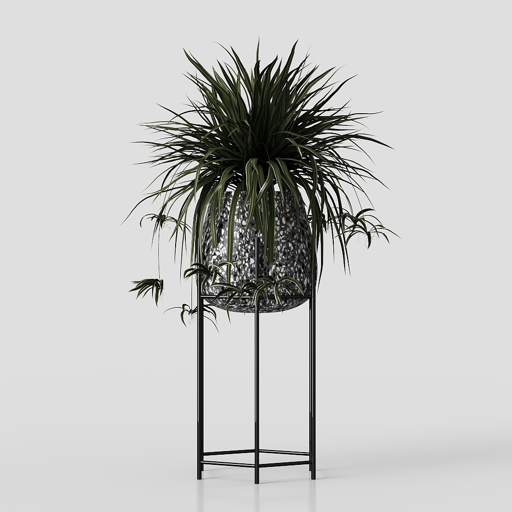 Bonsai in Stile Cinese Nuovo