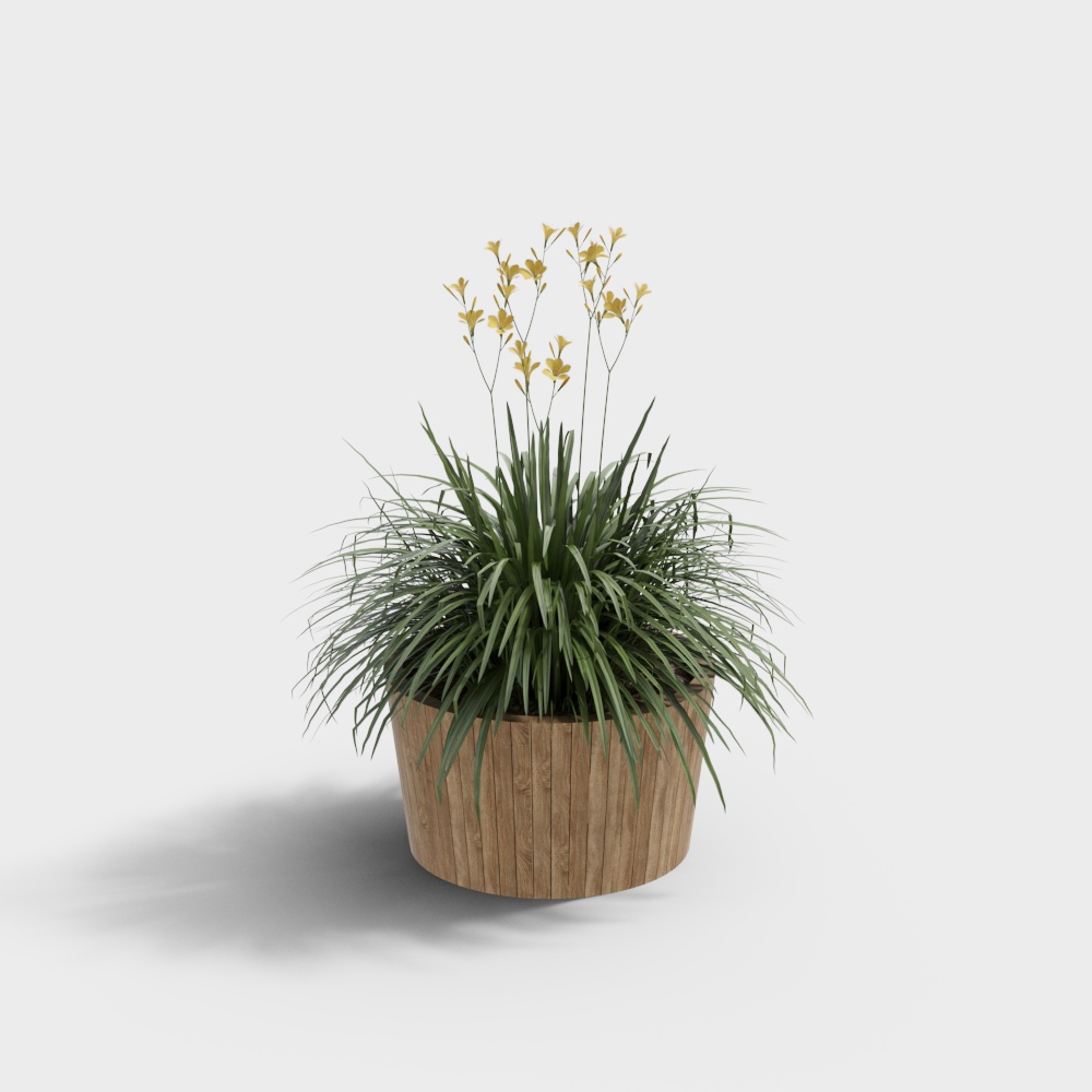Modern Minimalist Green Plants