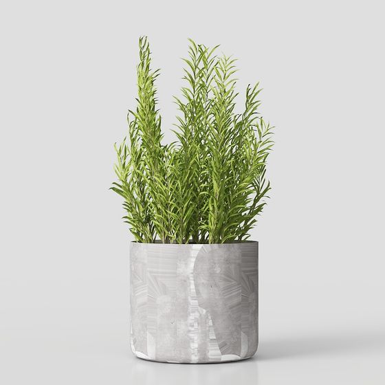 City Greenery 3D Model