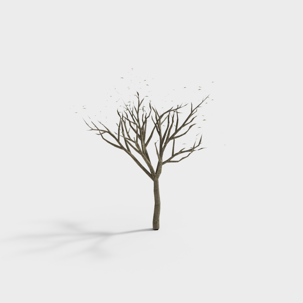 Albero di seta moderno da cortile