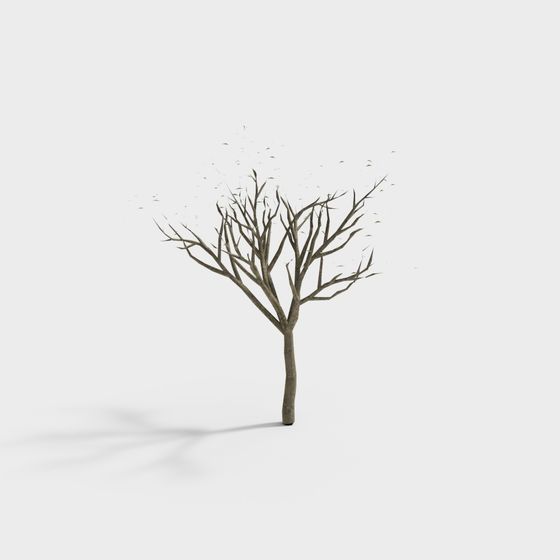 Albero di seta moderno da cortile