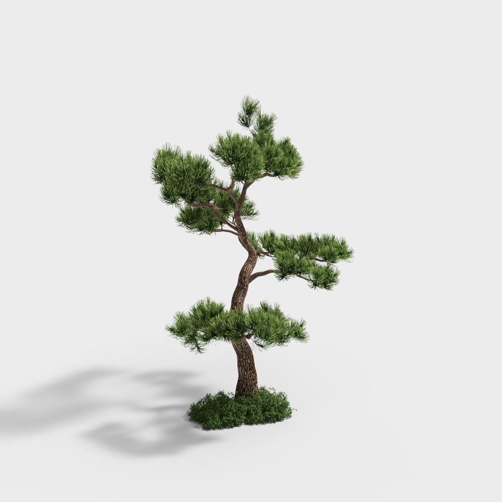 Realistic 3D Pine Tree Model