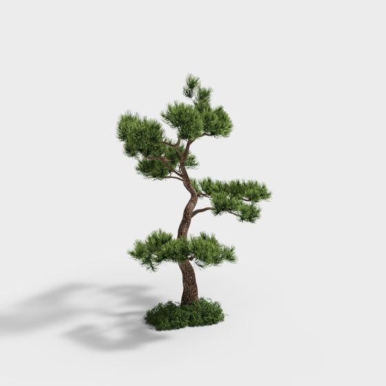 Realistic 3D Pine Tree Model