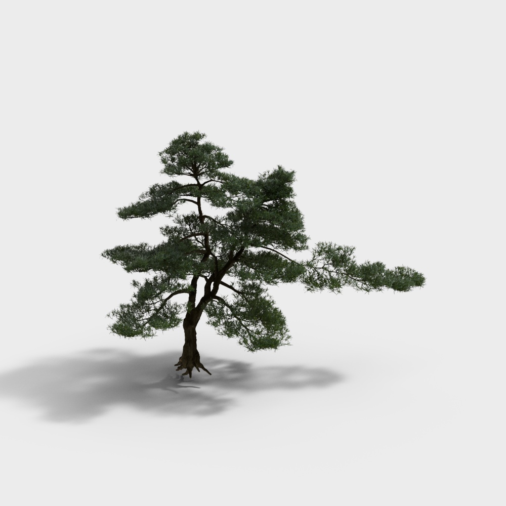 신형 중식 스타일 뜰 장식 소나무