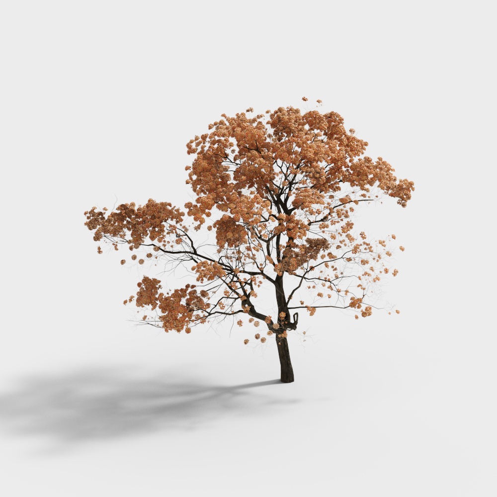 Realistic 3D Oak Tree Model for Autumn Scenes