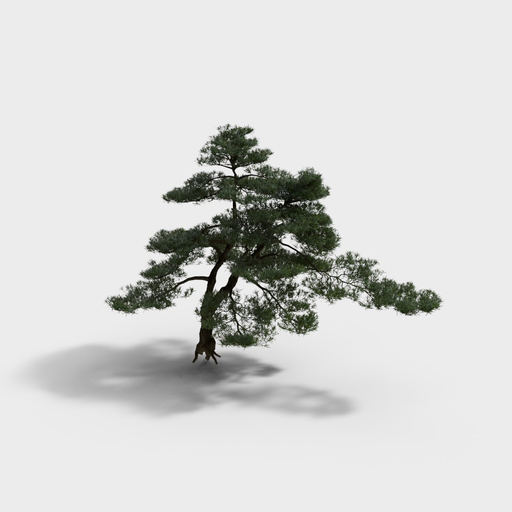 Realistic Pine Tree 3D Model for Nature Scenes