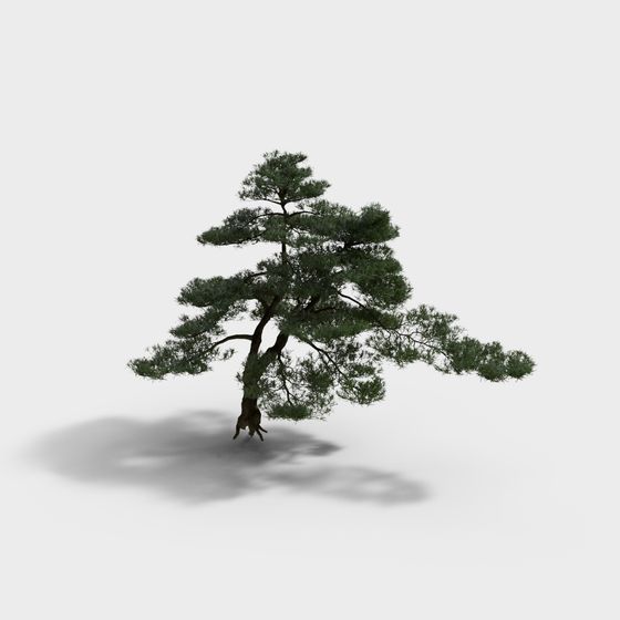 Realistic Pine Tree 3D Model for Nature Scenes