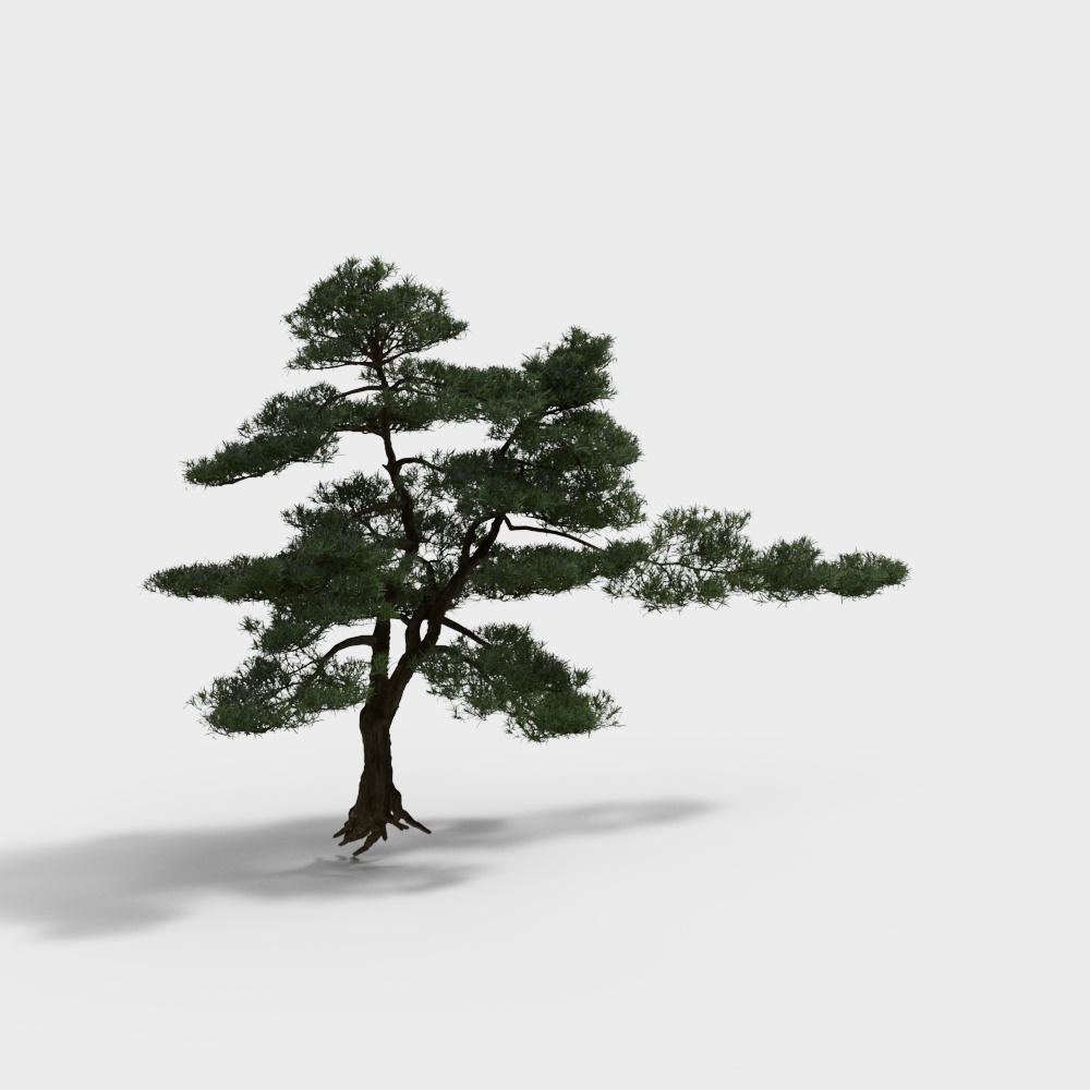 New Chinese-Style Garden Plants