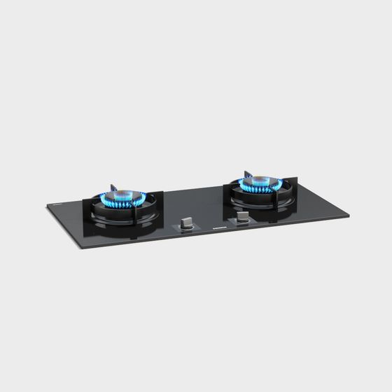 Gas Stove