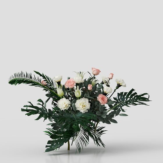 Pianta Fiorita da Interno