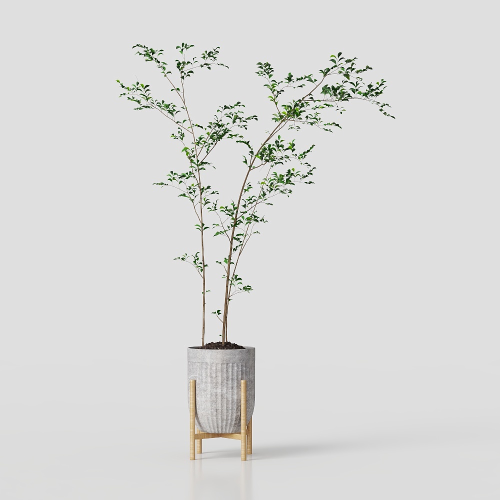 Log Wind Green Plants