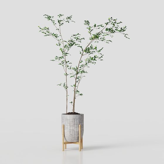 Urban Green Plant 3D model