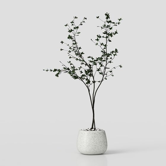 Indoor Plant 3D Model for Designers and Developers