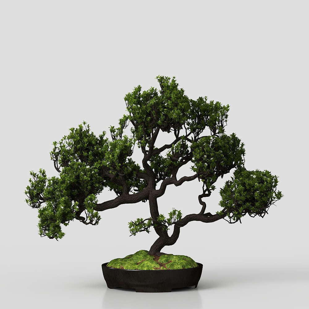 Бонсай во дворе в китайском стиле