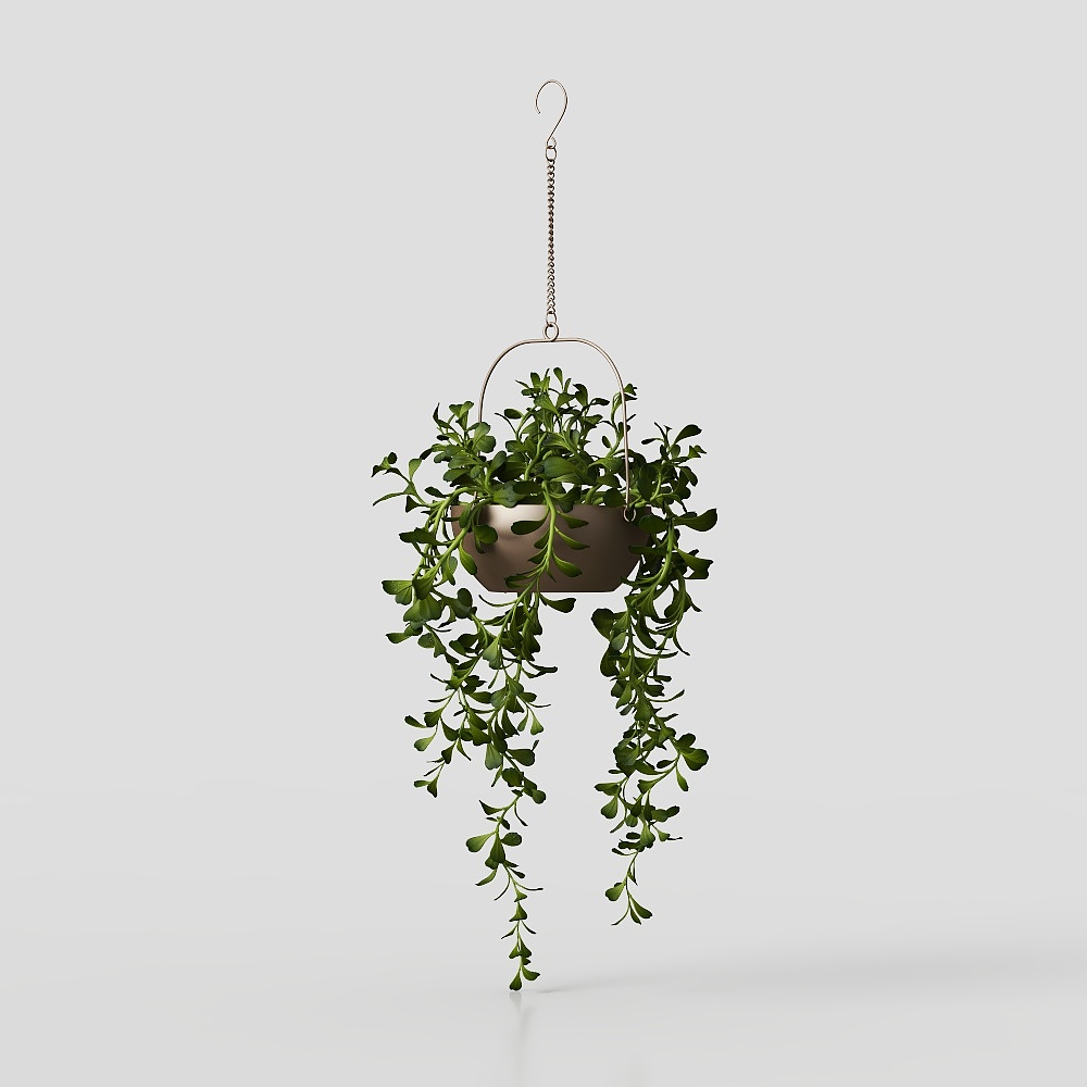 Modern Hanging Basket