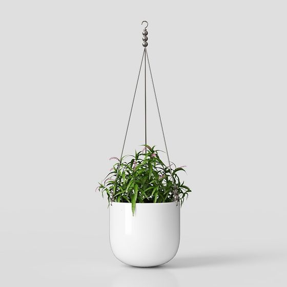 Cesto Appeso Moderno